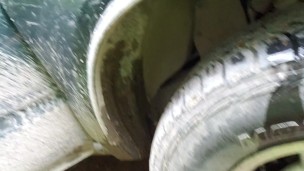 “Can I Pee On Your Tire?”