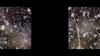 Naked piss loving lesbians dildo fuck – Virtual Porn