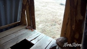 in the village toilet