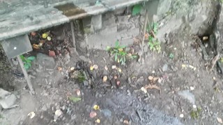 Peeing On The Bench Along The Path