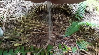 Pissing Outside in the Park