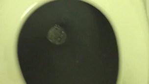 Pissing in the Plane Bathroom