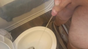 Pissing in the bathroom