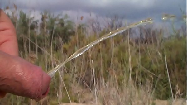 Recopilación de meadas